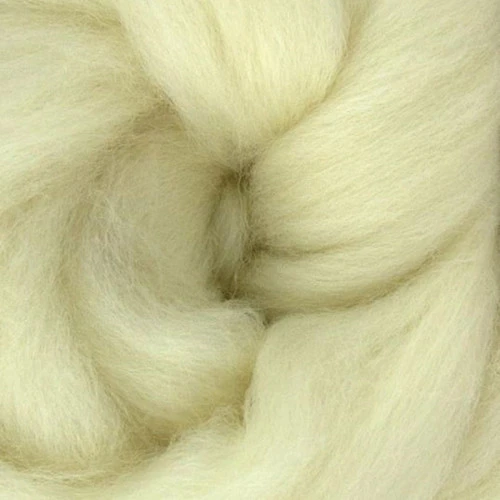 Punta Arenas Top 1 Punta Arenas Top