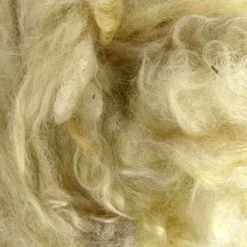 Scoured Wensleydale Fleece 1 Scoured Wensleydale Fleece