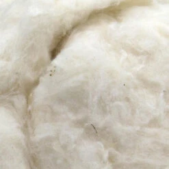 Ginned Egyptian Cotton Fiber
