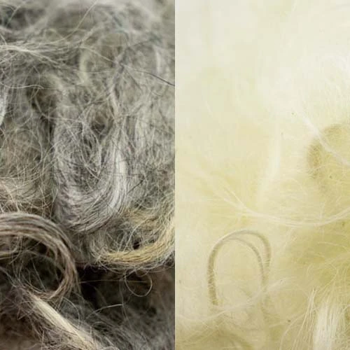 Pygora Fiber 1 Pygora Fiber